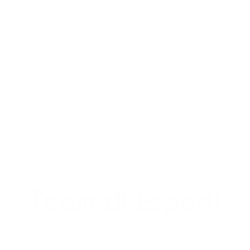 Team di esperti